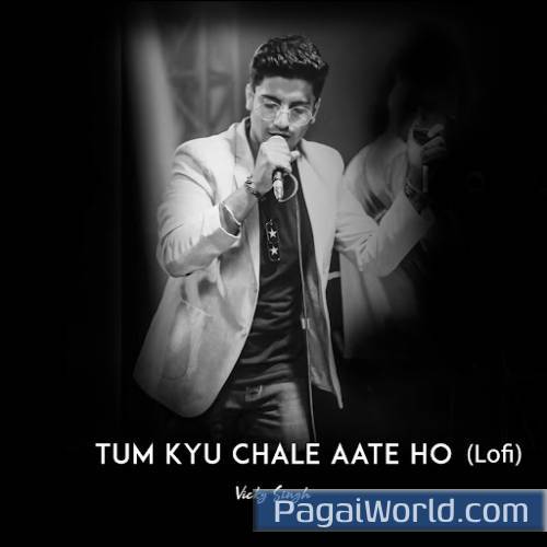 Tum Kyu Chale Ate Ho (Lofi) Poster