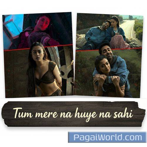 Tum Mere Na Huye Na Sahi Tum Mere Na Huye Na Sahi Poster