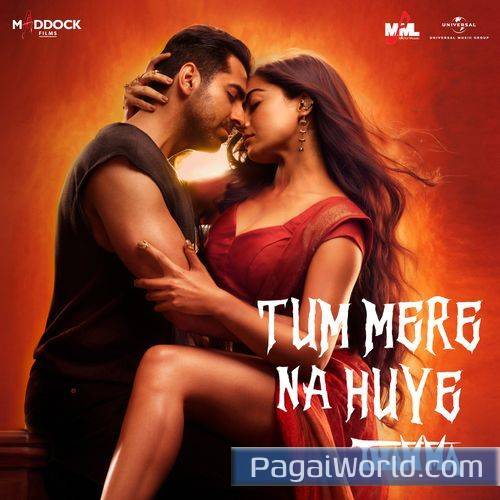 Tum Mere Na Huye Poster
