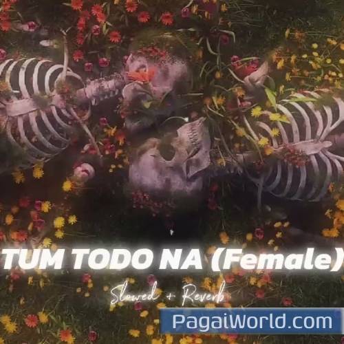 Tum Todo Na Dil Mera Slowed Poster