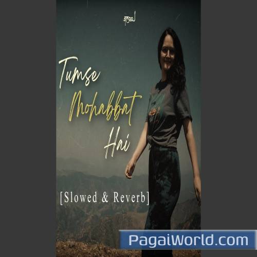 Tumse Mohabbat Hai Slowed Reverb Poster