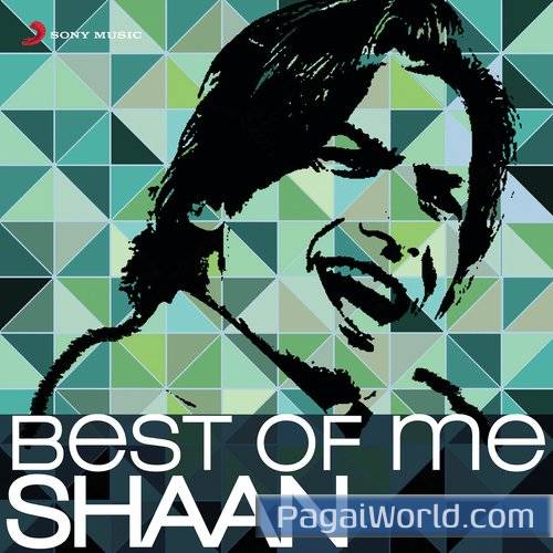 Tune Mujhe Pehchana Nahin Tune Mujhe Pehchana Nahin Poster