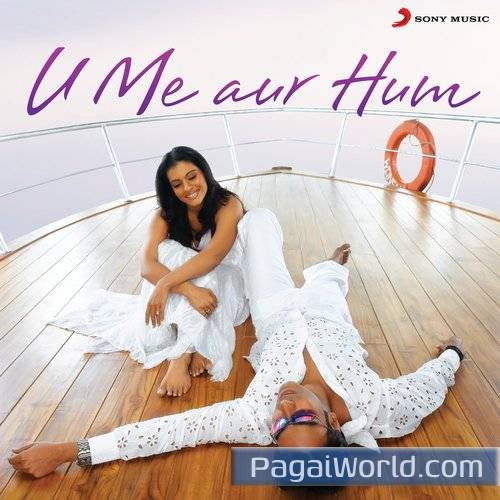 U Me Aur Hum U Me Aur Hum Poster