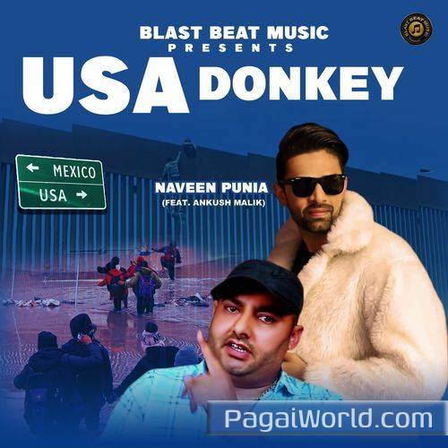 Usa Donkey Usa Donkey Poster