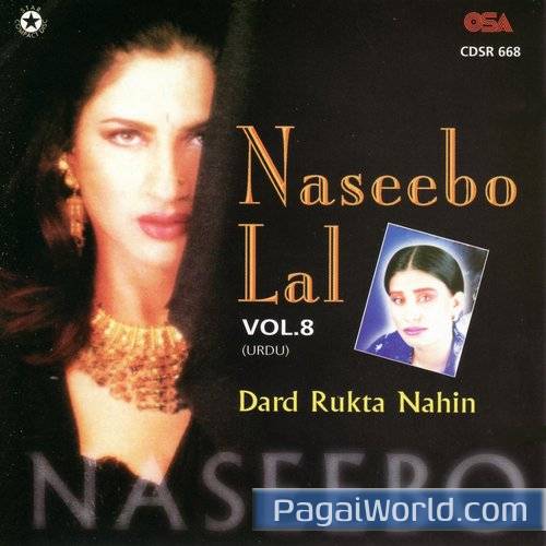 Vairia Ve Kya Kya Vairia Ve Kya Kya Poster