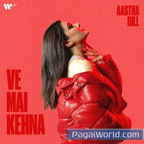 Ve Mai Kehna Poster
