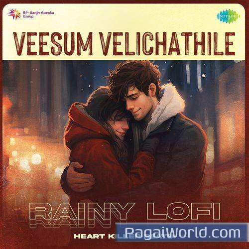 Veesum Velichathile Rainy Lofi Veesum Velichathile Rainy Lofi Poster