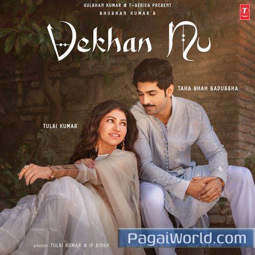 Vekhan Nu Vekhan Nu Poster