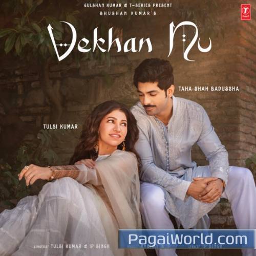 Vekhan Nu Vekhan Nu Poster