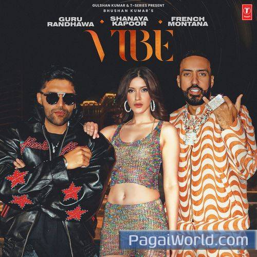 Vibe Feat Shanaya Kapoor Vibe Feat Shanaya Kapoor Poster