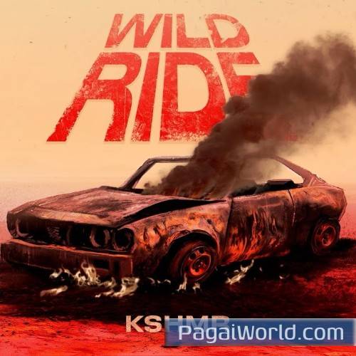 Wild Ride Wild Ride Poster