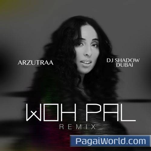 Woh Pal DJ Shadow Dubai Remix Woh Pal DJ Shadow Dubai Remix Poster