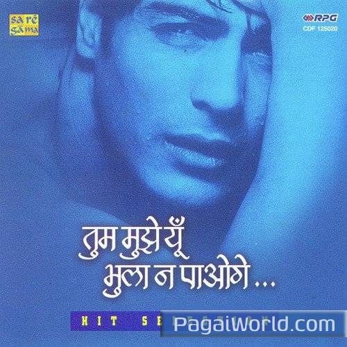 Yaad Men Teri Jaag Jaag Ke Hum Poster