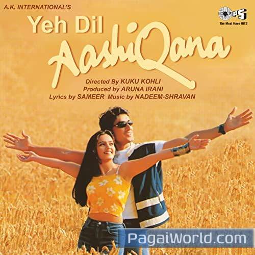 Yeh Dil Aashiqana Poster
