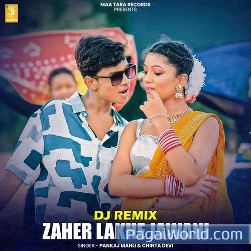 Zaher Lakhe Jawani   DJ Remix Poster