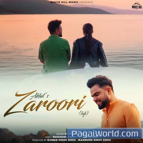 Zaroori (Lofi) Poster