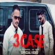 3 Case
