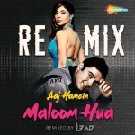 Aaj Hamein Maloom Hua   Remix