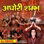 Aghori Shambhu DJ Remix