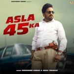 Asla 45 Ka