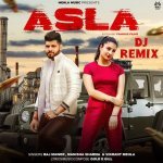 Asla Dj Remix