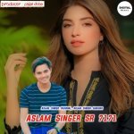 Aslam Singer Sr 7171
