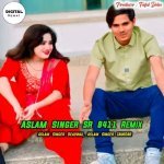 Aslam Singer Sr 8411