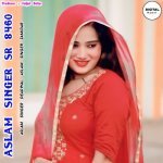 Aslam Singer Sr 8460