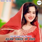 Aslam Singer Sr 8589