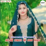 Aslam Singer Sr 8888