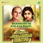 Bhanware Ne Khilaya Phool   Super Jhankar Beats