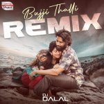 Bujji Thalli Official Remix