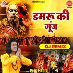 Damru Ki Gunj DJ Remix