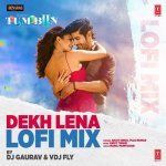 Dekh Lena Lofi Mix By Dj GauravVdj Fly