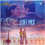 Dil Mein Ho Tum Lofi MixRemix By Dj GauravVdj Fly