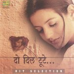 Do Dil Toote Do Dil Haare
