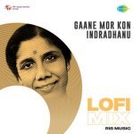 Gaane Mor Kon Indradhanu   Lofi Mix