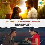 Hey Minnale X Poopol Poopol   Mashup