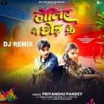 Holiye Me Chhod Ke Dj Remix