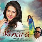 Hum Dono Ne Pyar Kiya Shaadi Hogi