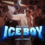 Iceboy