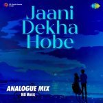 Jaani Dekha Hobe   Analogue Mix