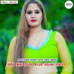 Jada Mai Dudh Biluo Aslam Singer