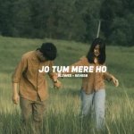 Jo Tum Mere Ho (Slowed Reverb)