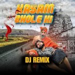Kasam Bhole Ki DJ Remix