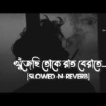 Khujechi Toke Raat Berate Slowed N