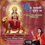 Maa Ke Barabar Dusra Na