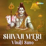 Mahadev Beda Par Karenge