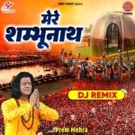 Mere Shambhu Nath DJ Remix