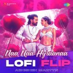 Naa Naa Hyraanaa   Lofi Flip